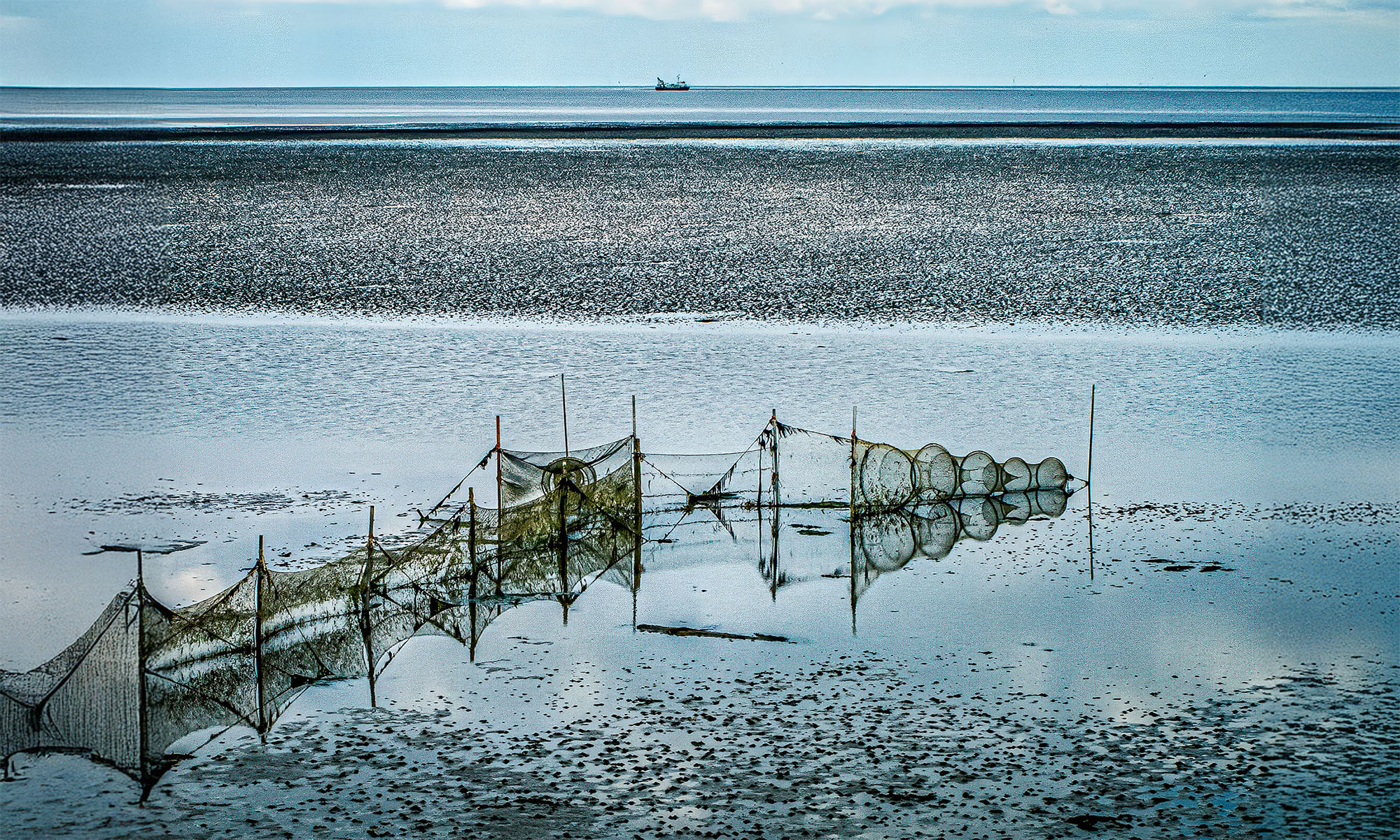 texel-2000